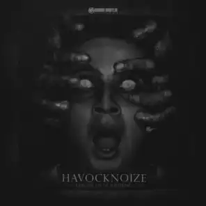 Havocknoize