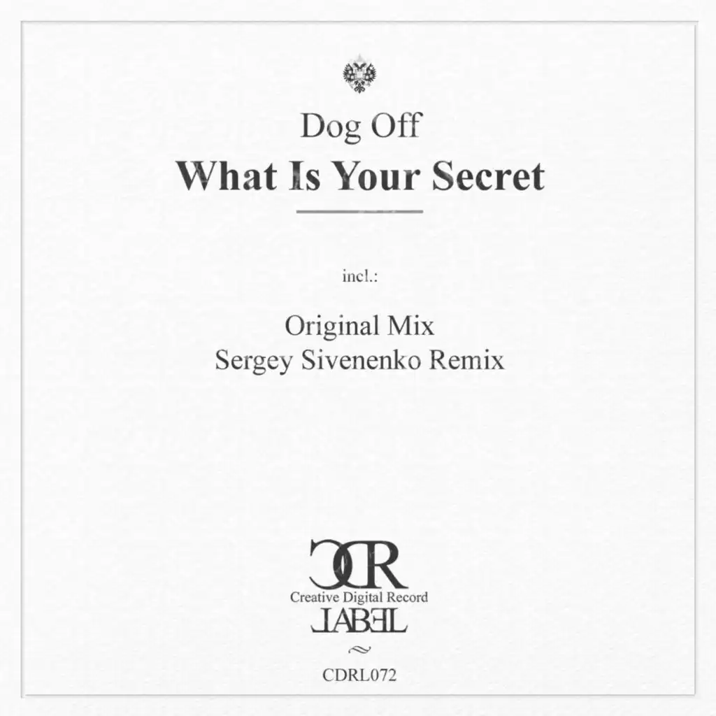 What Is Your Secret (Sergey Sivenenko Remix)