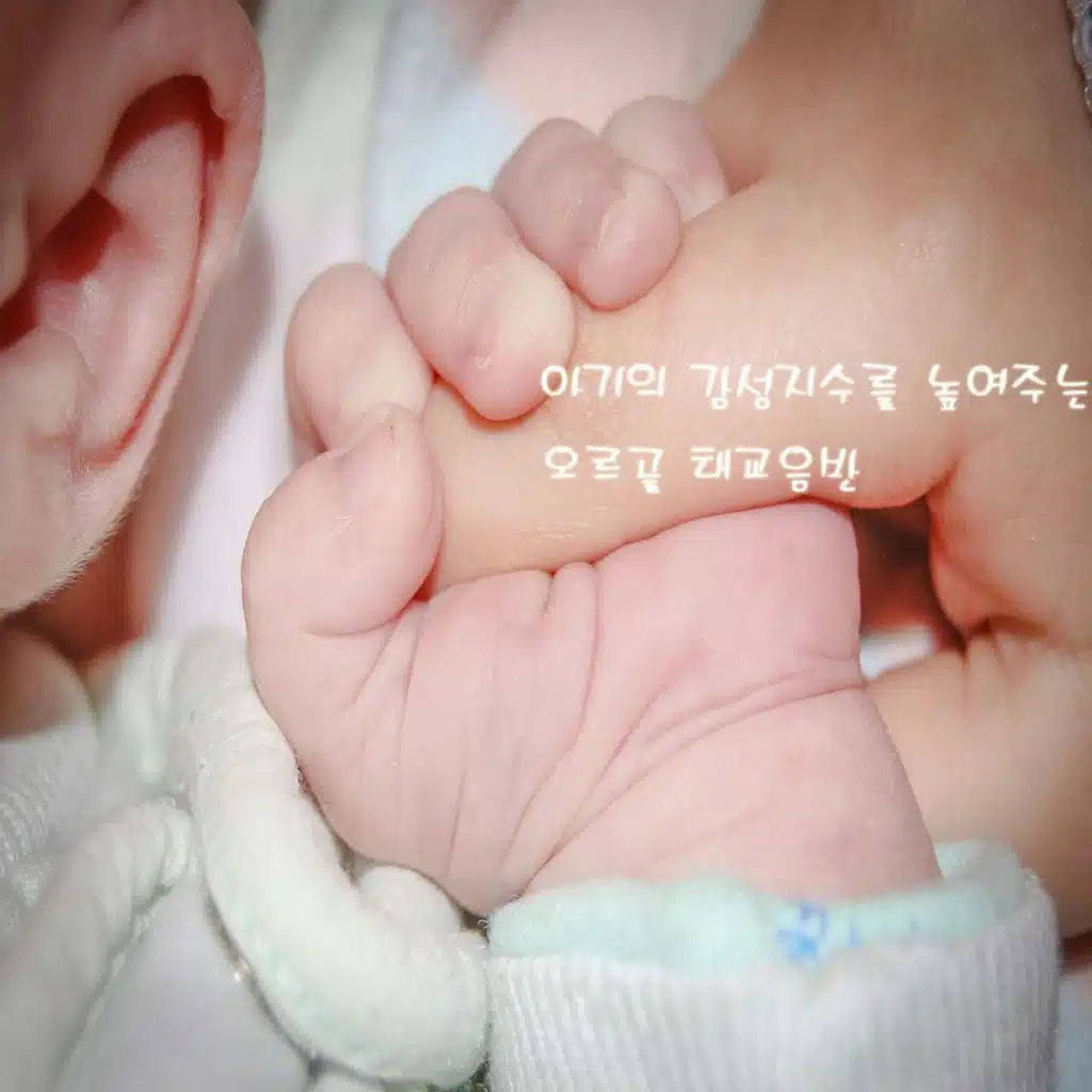 아기의 감성지수를 높여주는 오르골 태교음반
