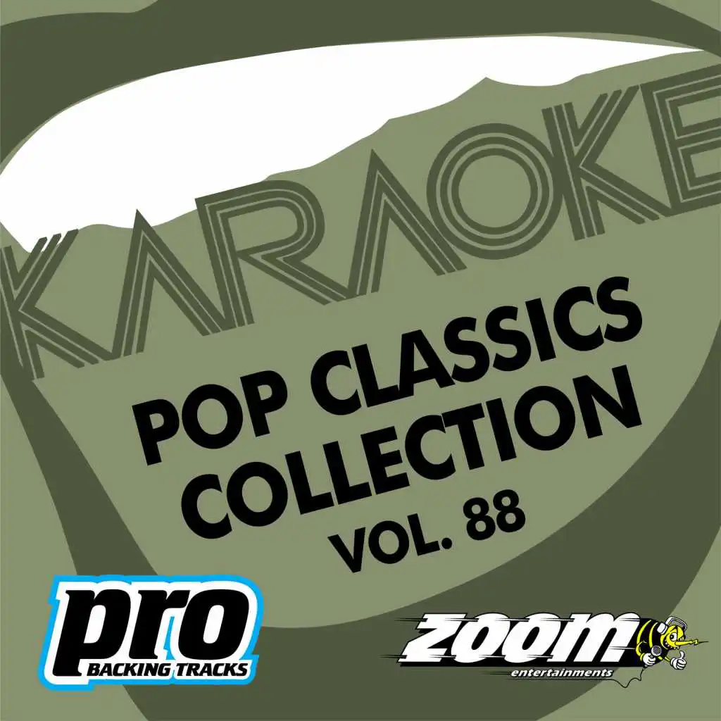 Zoom Karaoke - Pop Classics Collection - Vol. 88