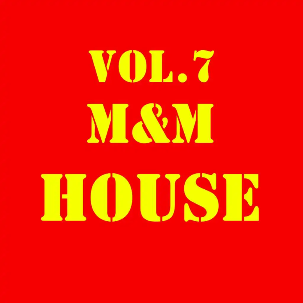 Euro House Sessions Vol. 5