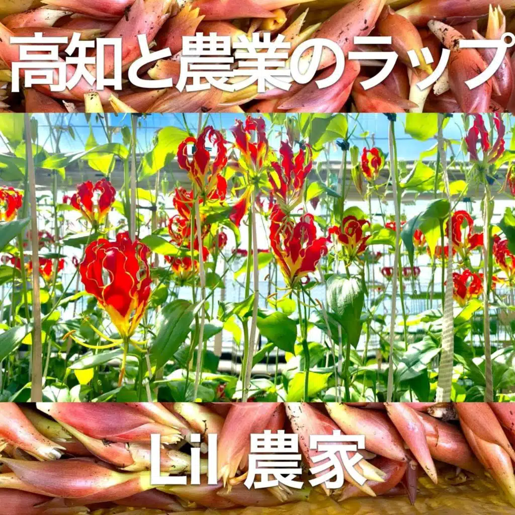 高知と農業のラップ