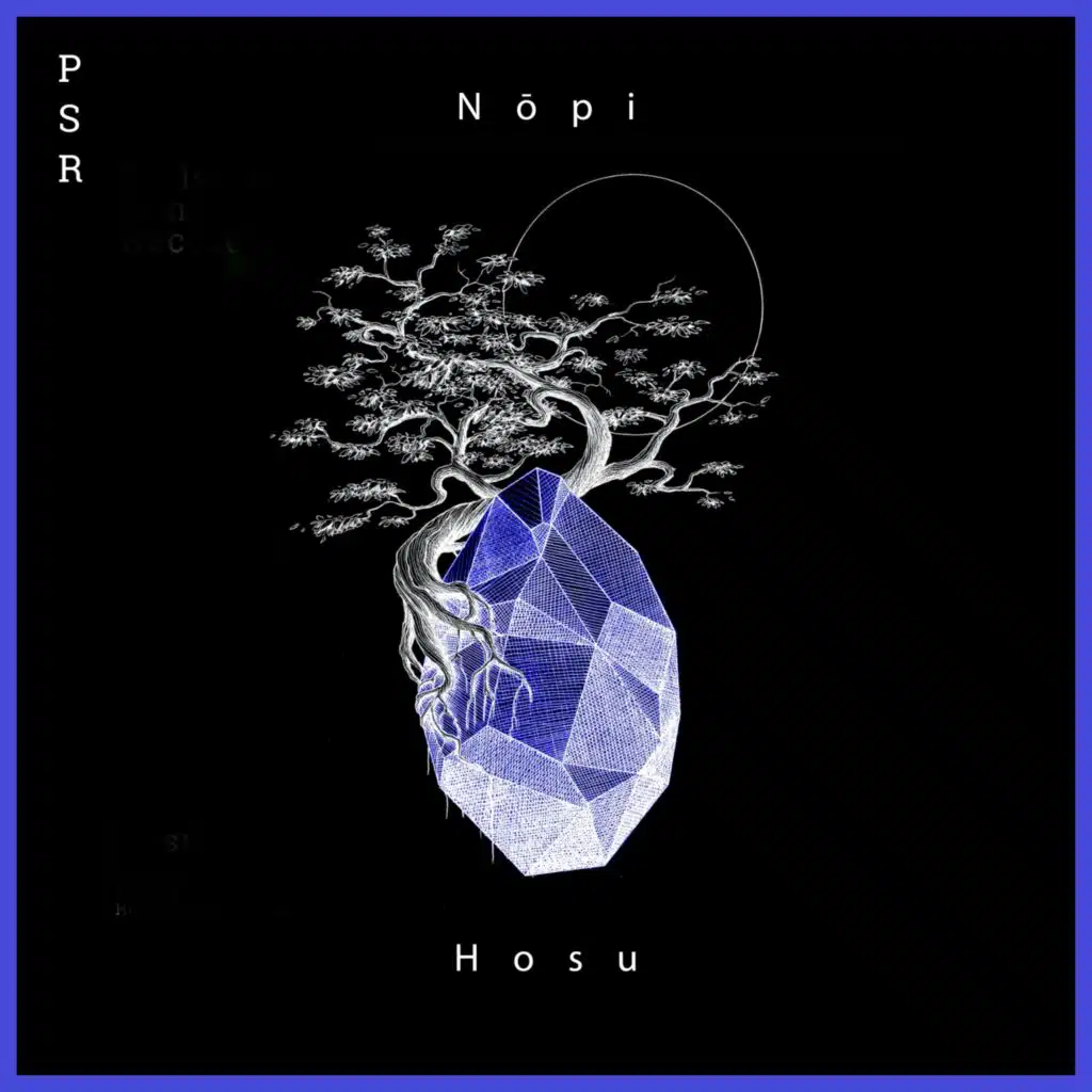 Hosu (feat. Erdi Irmak)