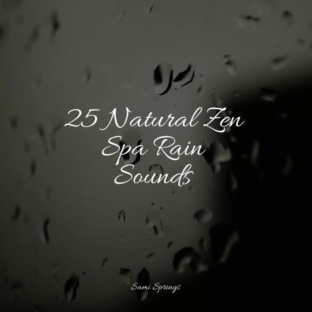 25 Ultimate Winter Rain Sounds
