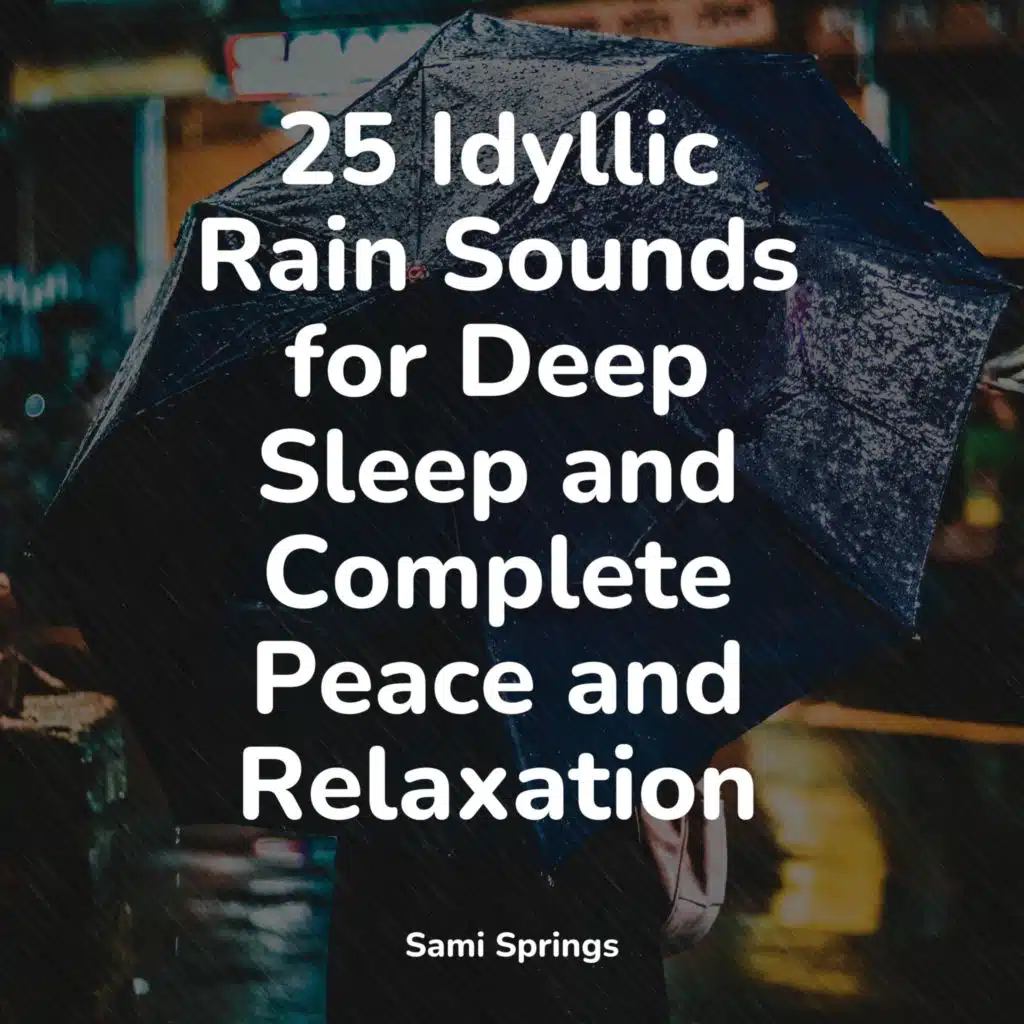 Seagulls on the Beach (Relaxing Ocean Waves)