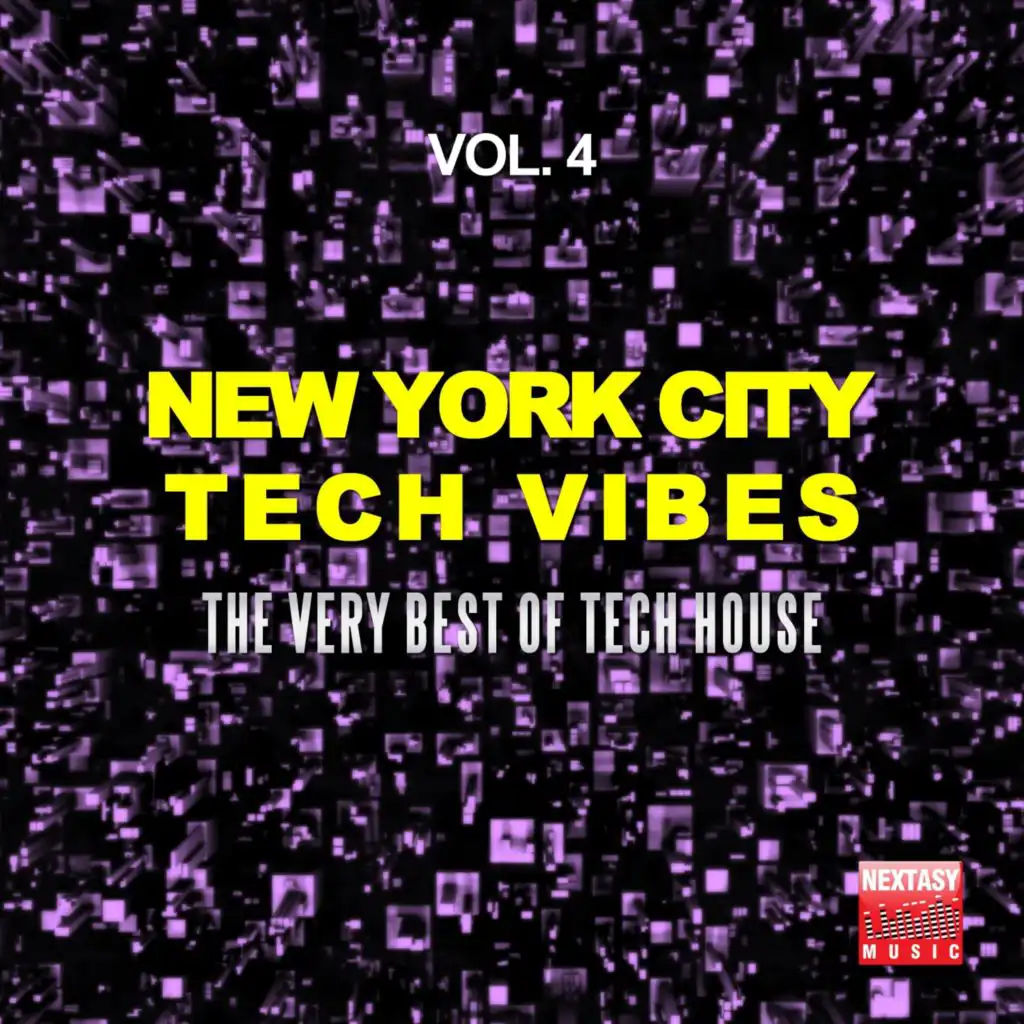 New York City Tech Vibes, Vol. 4 (The Very Best Of Tech House)