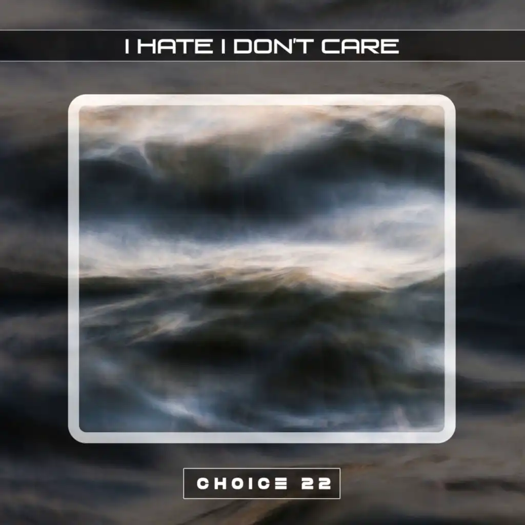 I Hate I Don't Care Choice 22