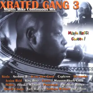 Xrated Gang 3 (Mighty Mike Continuous Mix)