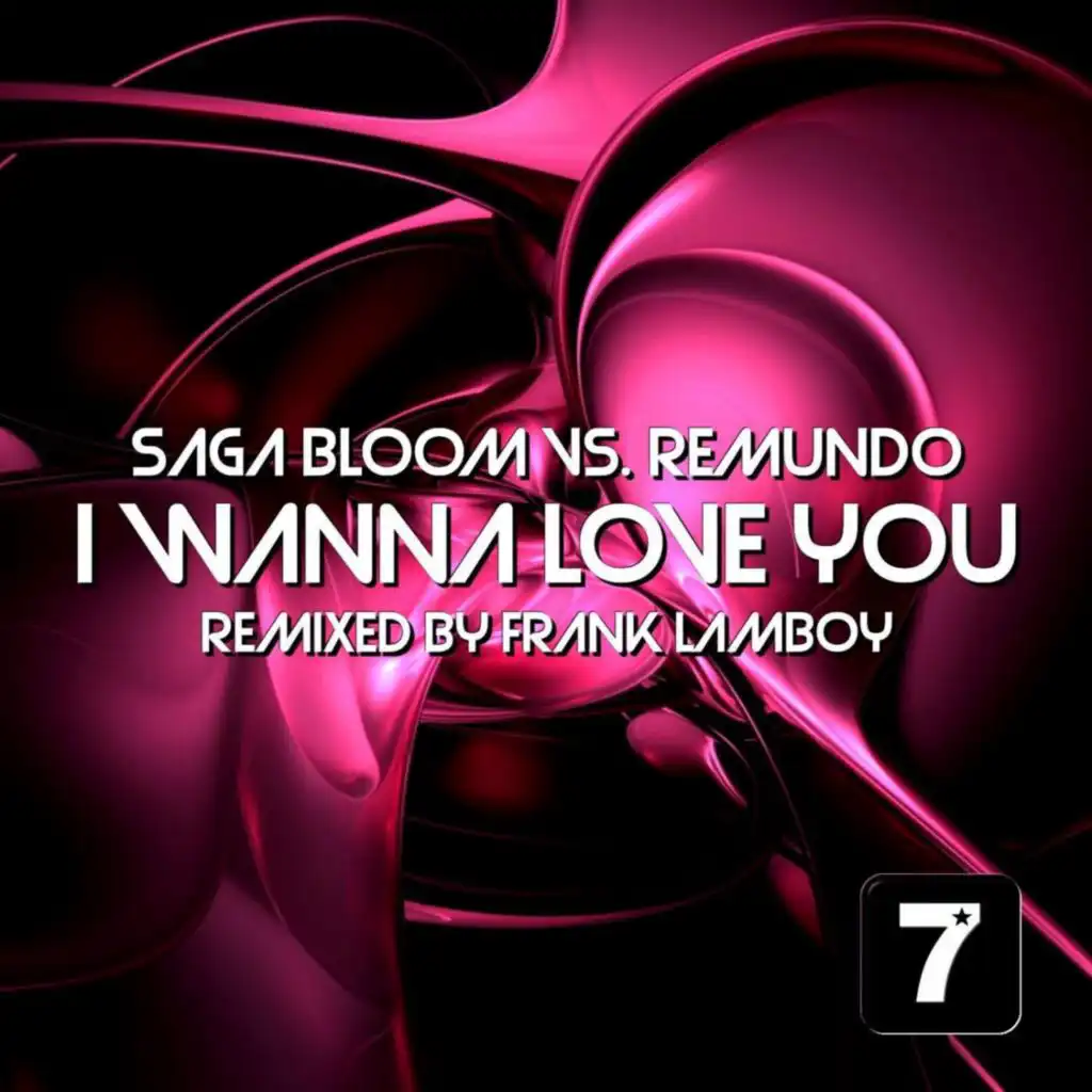 I Wanna Love You (Remundo's Version Club)