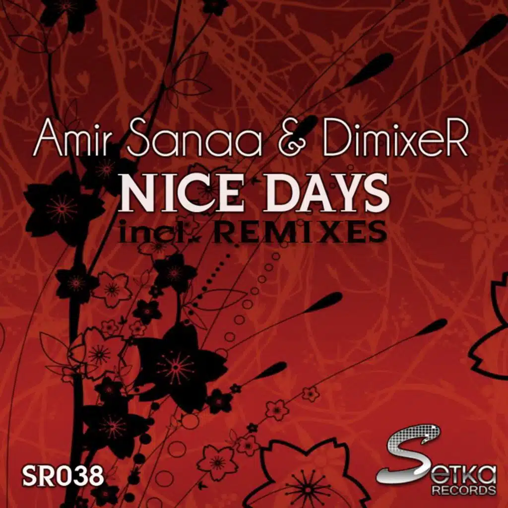 Nice Days (Serge Sky Remix)
