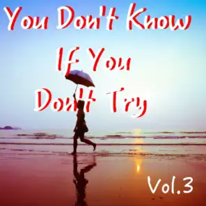 You Don't Know If You Don't Try, Vol. 3
