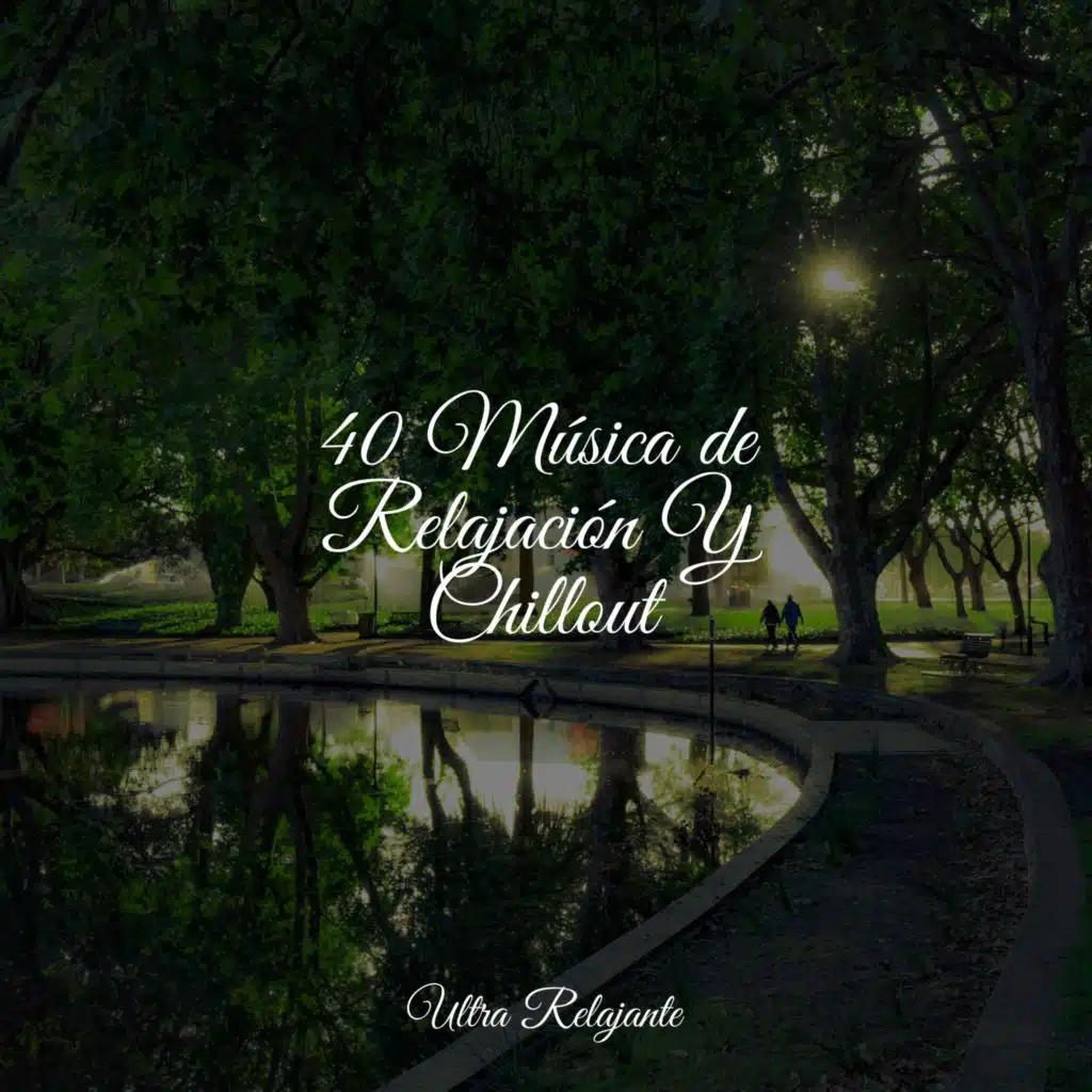 Las Llaves Sonaron Suavemente