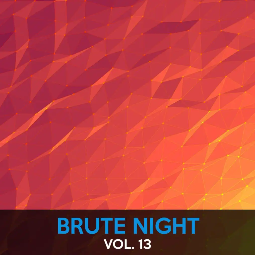 Brute Night, Vol. 13