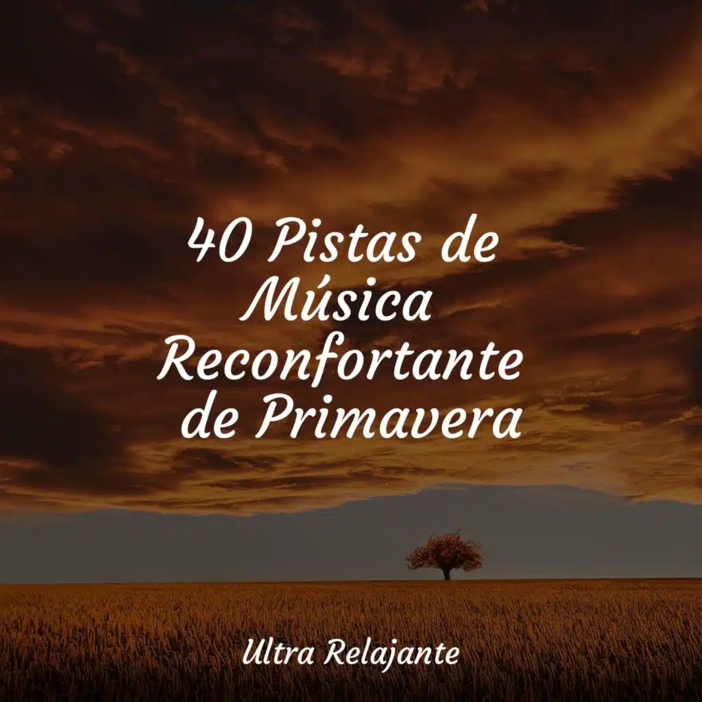 Susurros Junto Al Mar