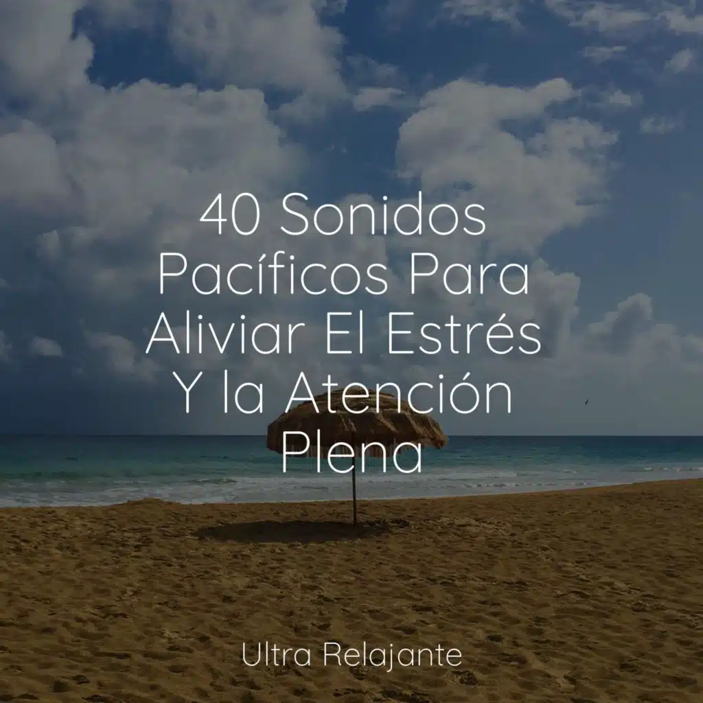 40 Sonidos Pacíficos Para Aliviar El Estrés Y la Atención Plena