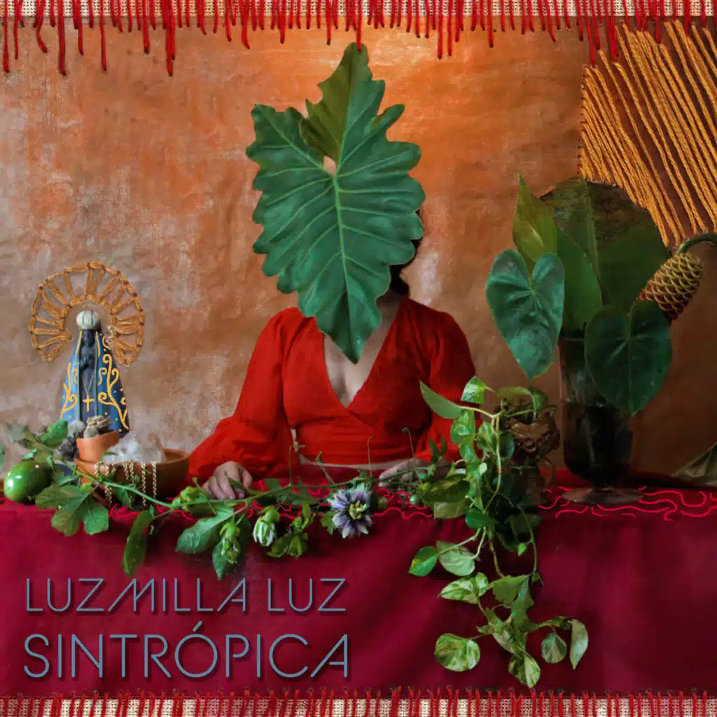 Sintrópica