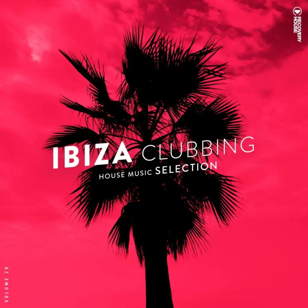 Ibiza Clubbing, Vol. 29