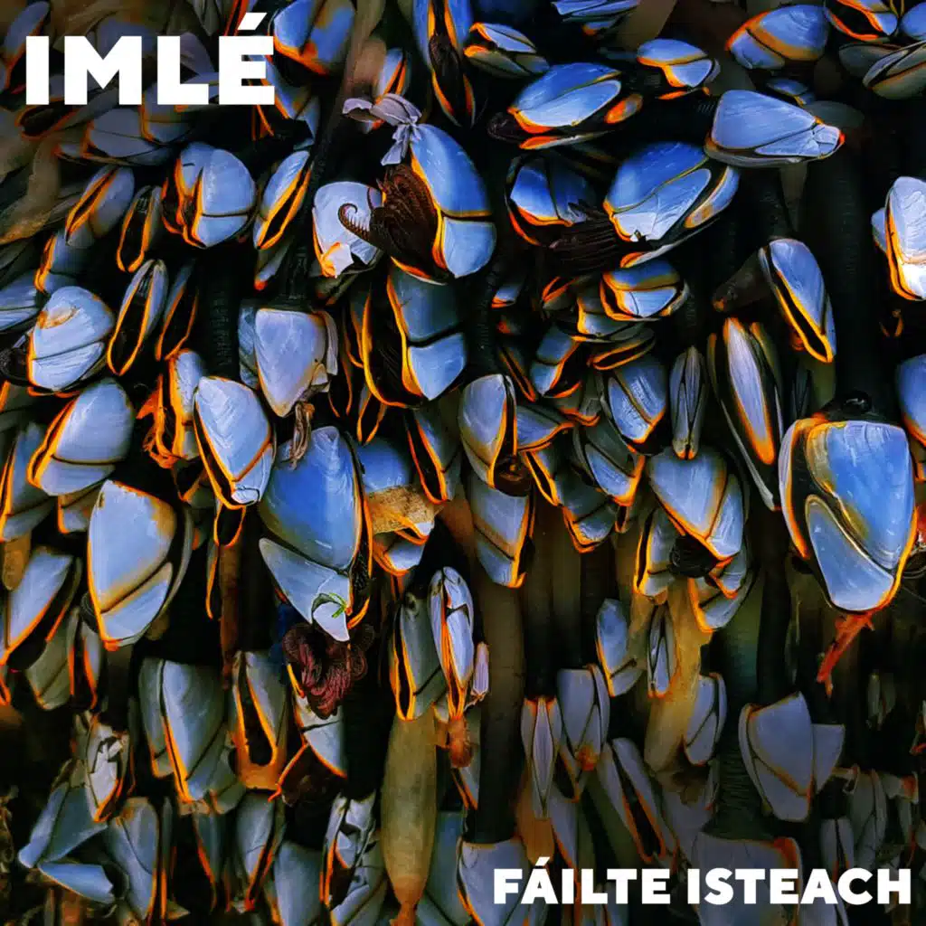 Fáilte Isteach