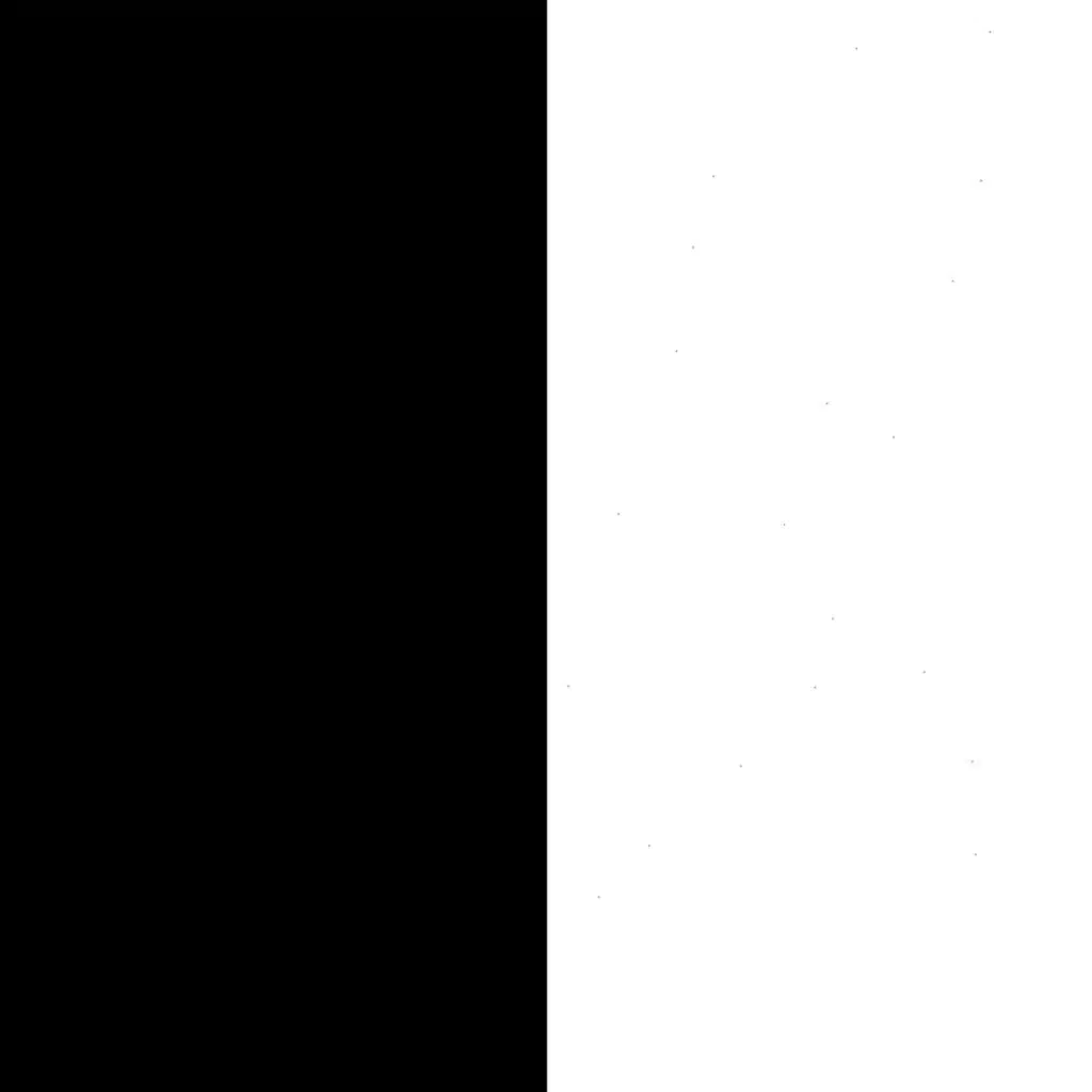 good morning exavier