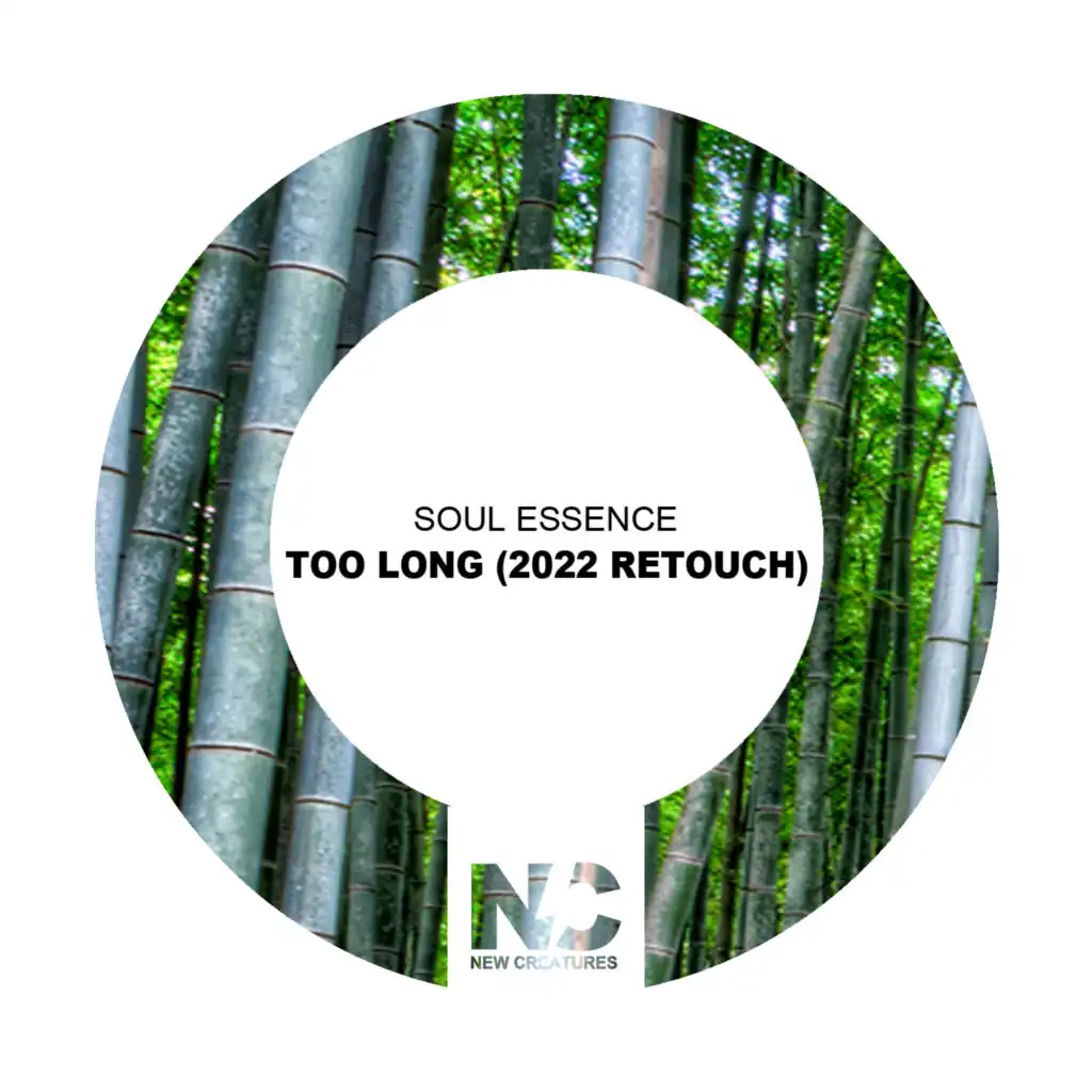 Too Long (2022 Retouch) [feat. Nu Ground Foundation]