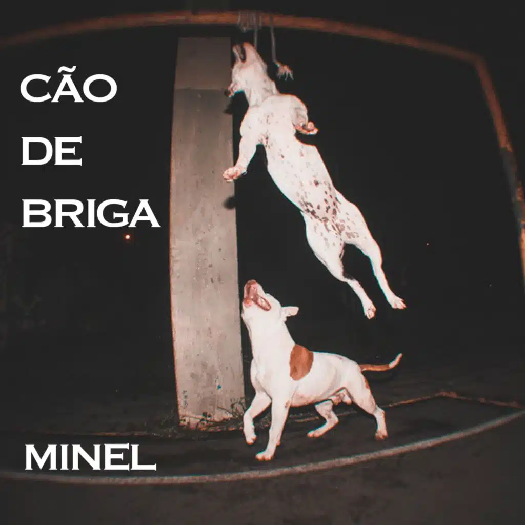 Cão de Briga (feat. Greygoosing & SEITHÈN #4100)
