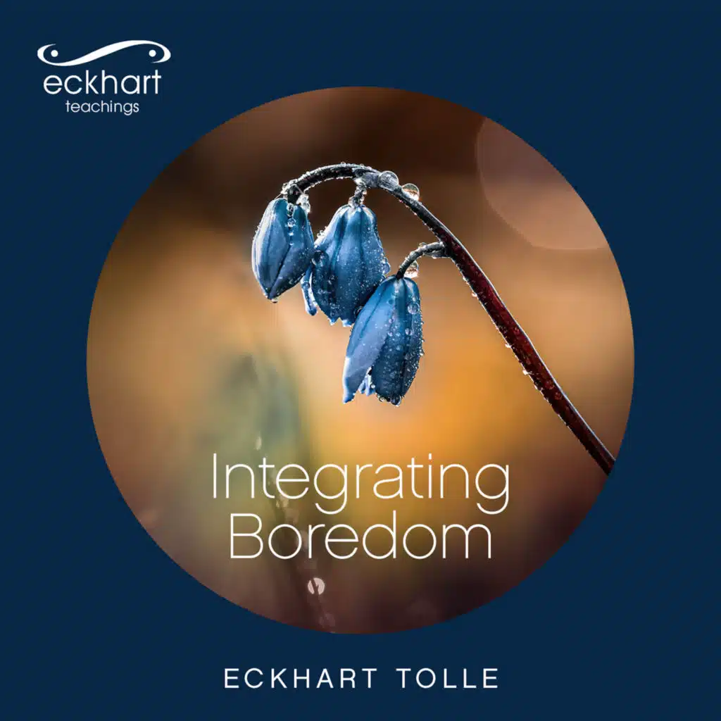 Integrating Boredom