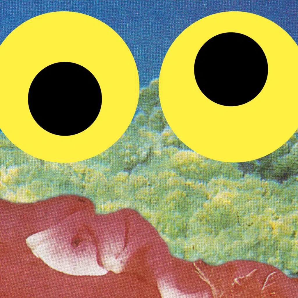 Close (Better Than Reality Edit)