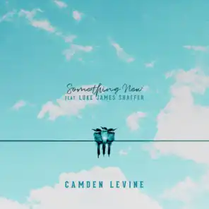 Camden Levine
