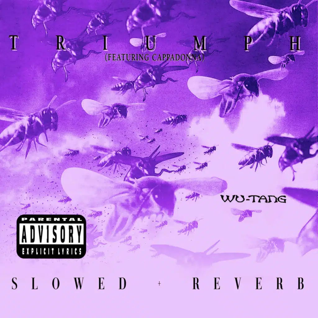 Triumph (slowed + reverb) [feat. Cappadonna]