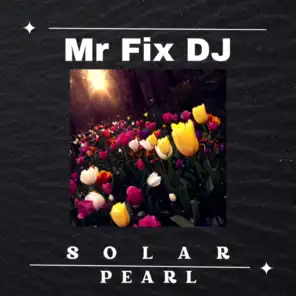 Mr Fix DJ