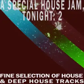 A Special House Jam, Tonight, Vol. 2