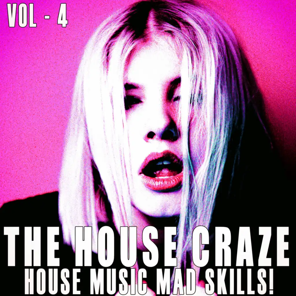 The House Craze, Vol. 4