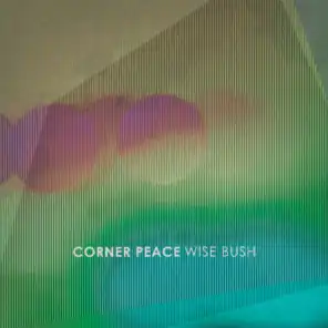Wise Bush