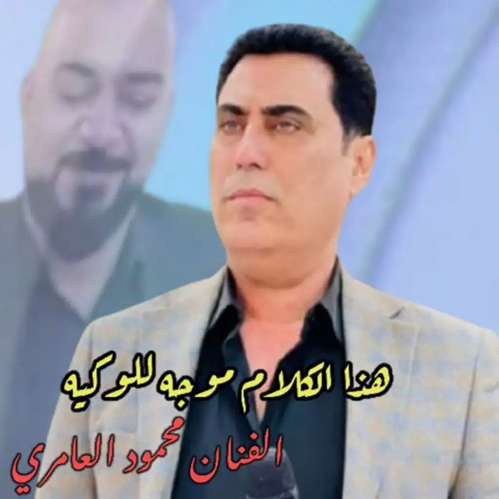 محمود العامري