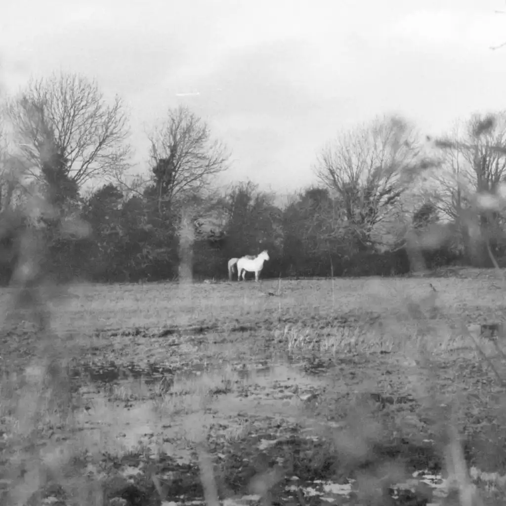 when you run away, do you close your eyes