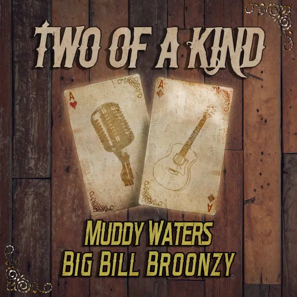 Two of a Kind: Muddy Waters & Big Bill Broonzy