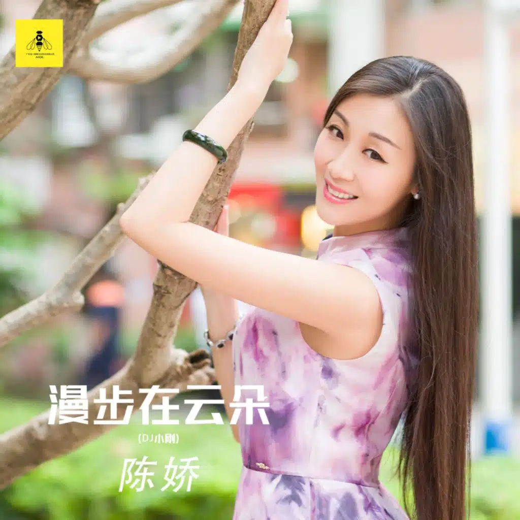 漫步在云朵 (DJ小刚版)