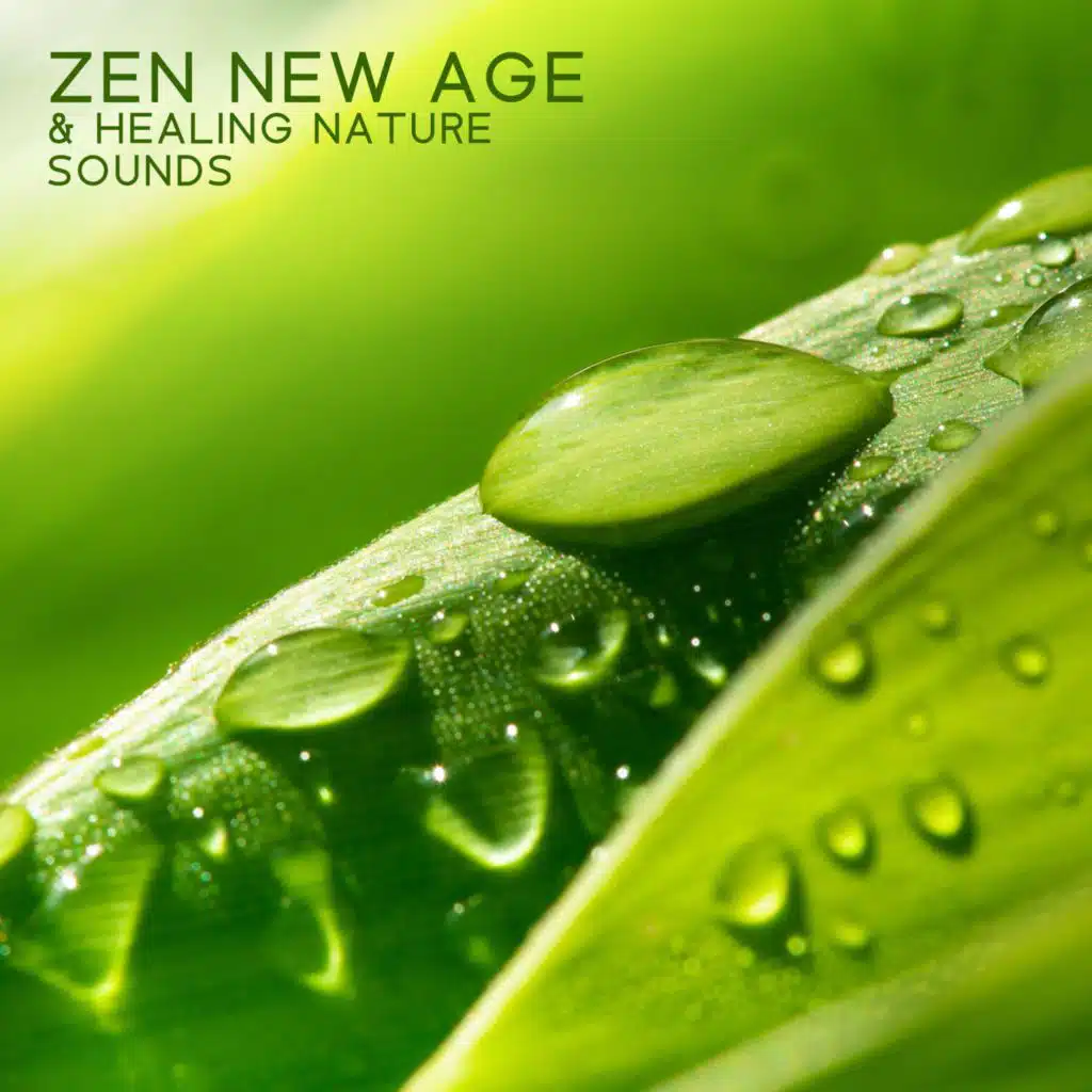 Zen New Age & Healing Nature Sounds (Relaxation Therapy Music for Massage, Spa, Meditation, Reiki, Yoga, Sleep and Study)