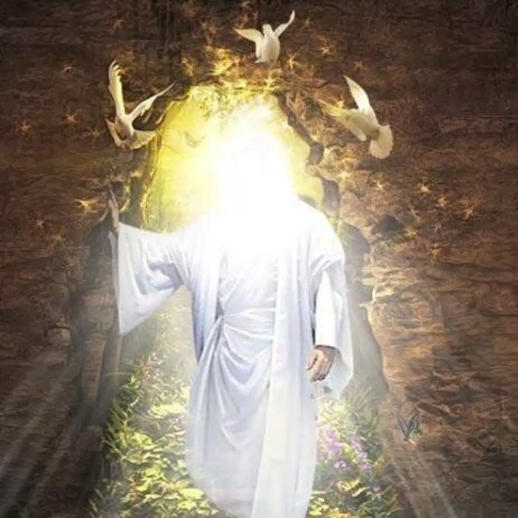 ولد الهدى -احمد شوقي