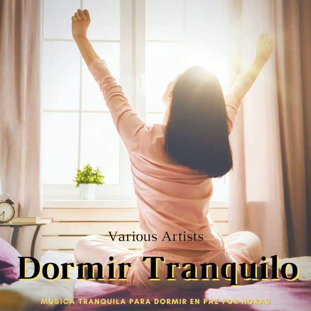 Dormir Tranquilo: Música Tranquila para Dormir en Paz por Horas