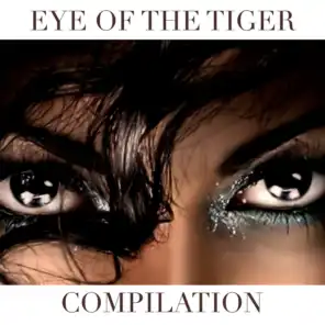 Eye of the Tiger Compilation