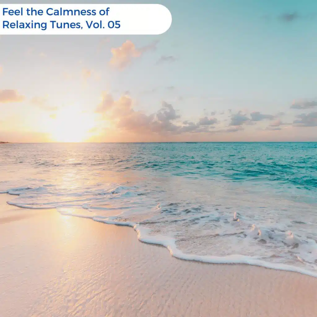 Feel The Calmness Of Relaxing Tunes, Vol. 05