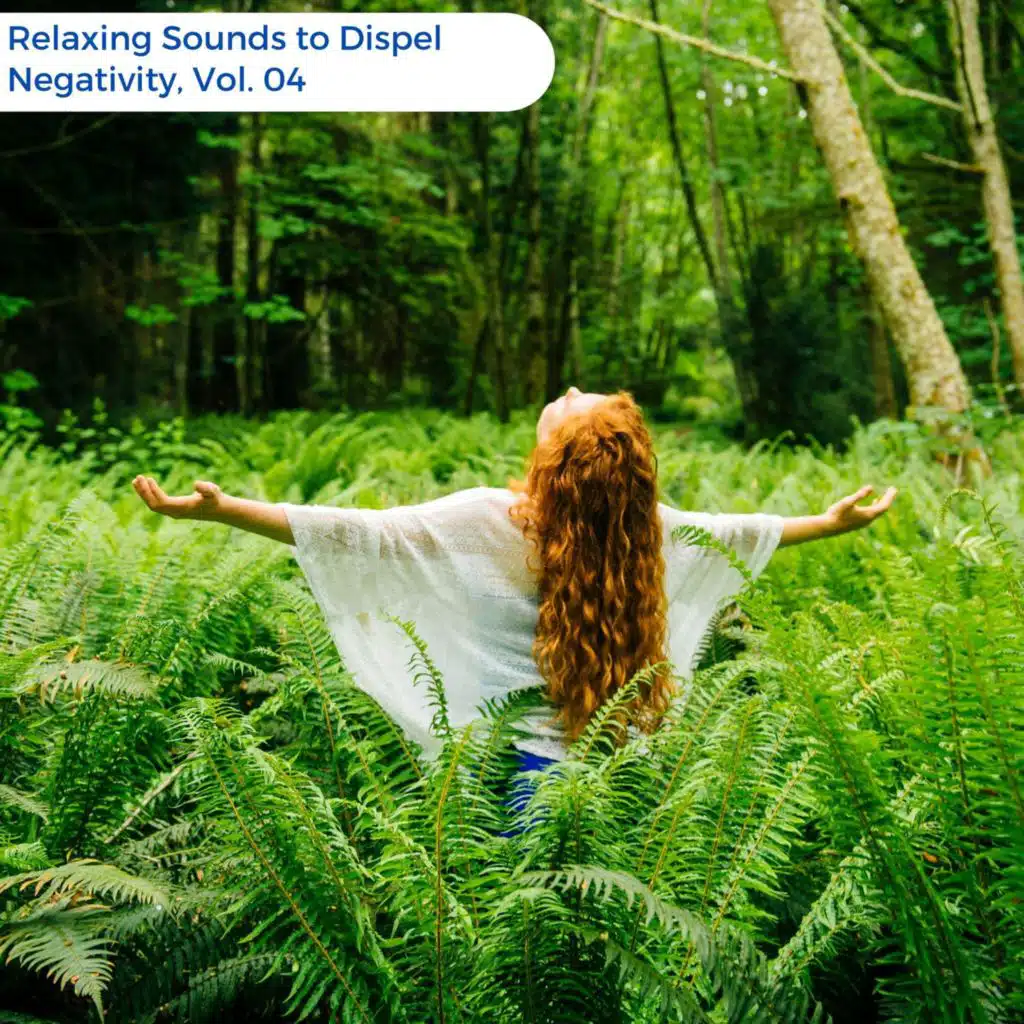 Relaxing Sounds To Dispel Negativity, Vol. 04