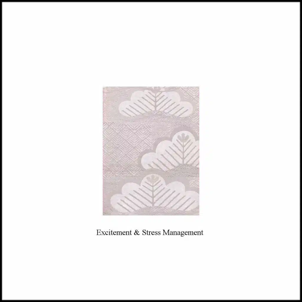 Excitement and Stress Management - Single