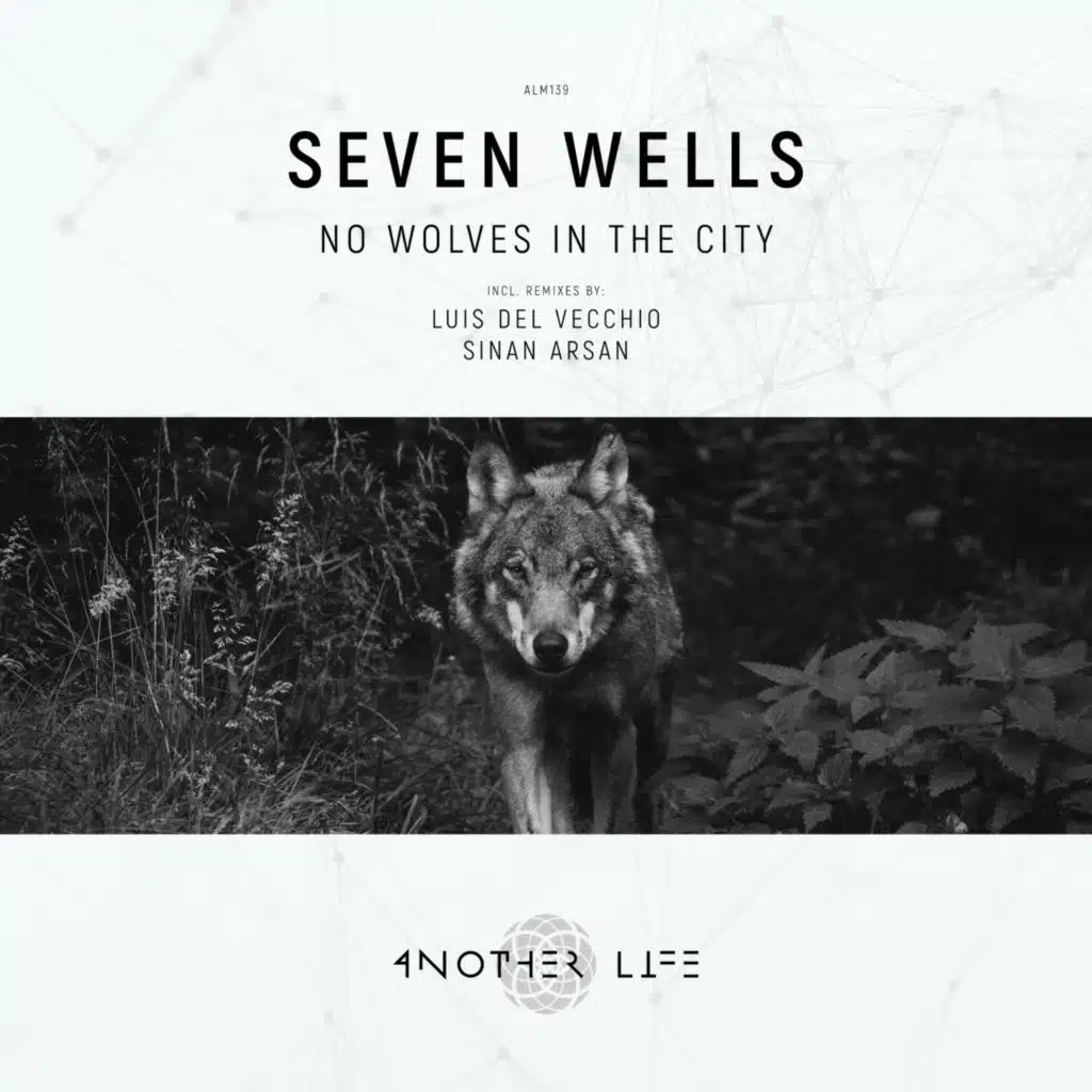 No Wolves in the City (Luis del Vecchio Remix)