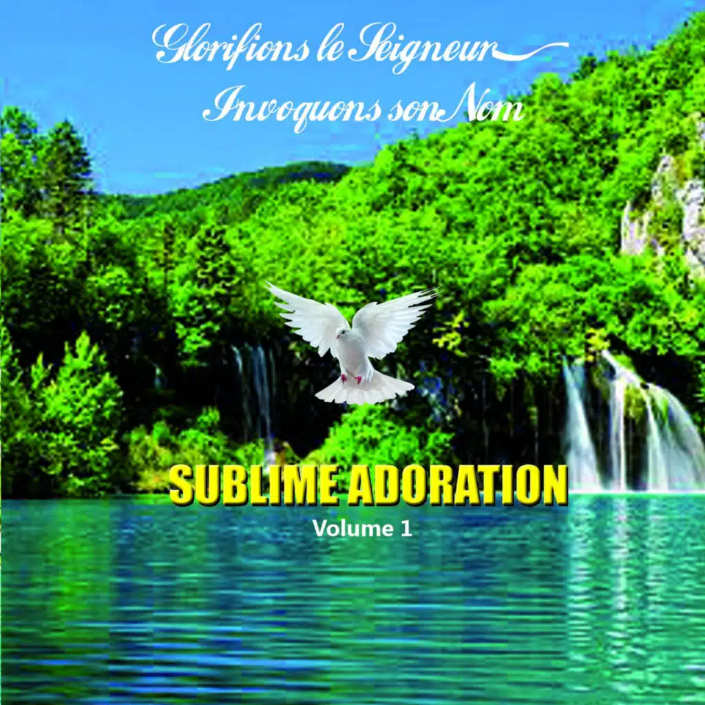 Glorifions le Seigneur, Invoquons son Nom, Vol. 1