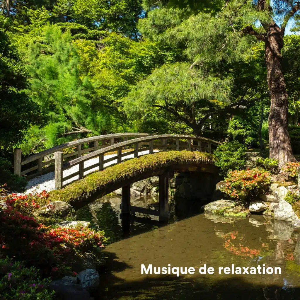 Musique de relaxation