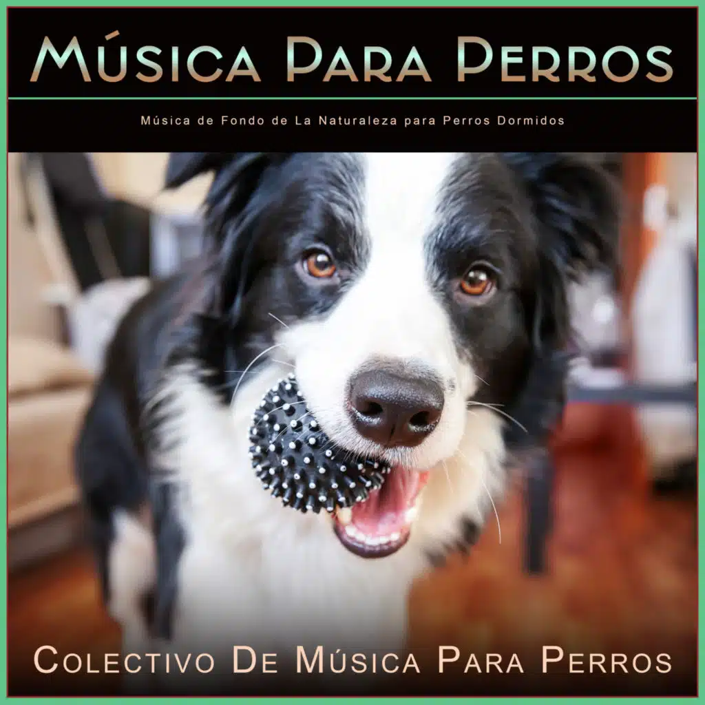 Música para Perros