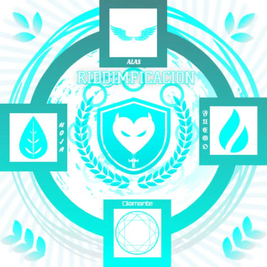 RIDDIMFICACION