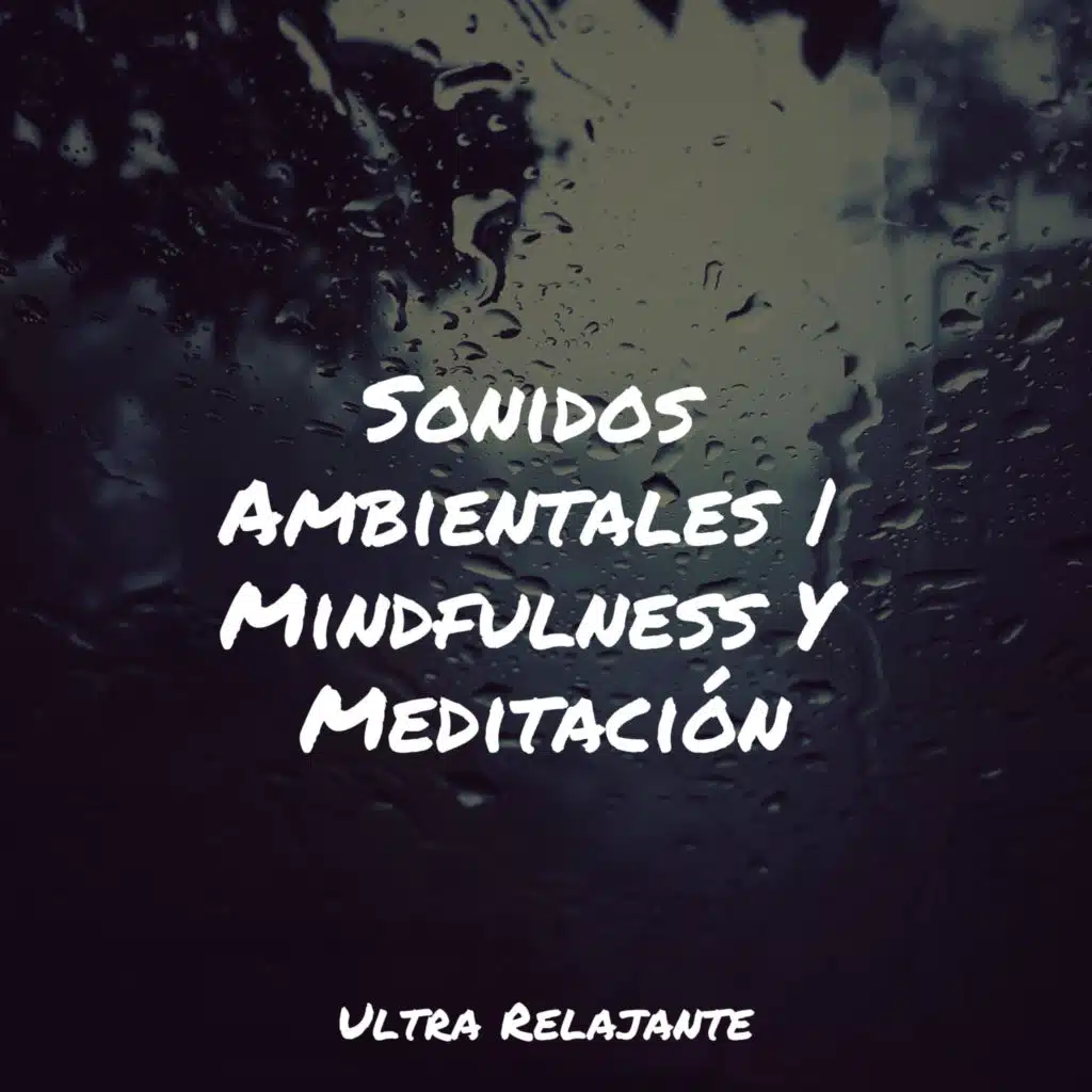 Sonidos Ambientales | Mindfulness Y Meditación